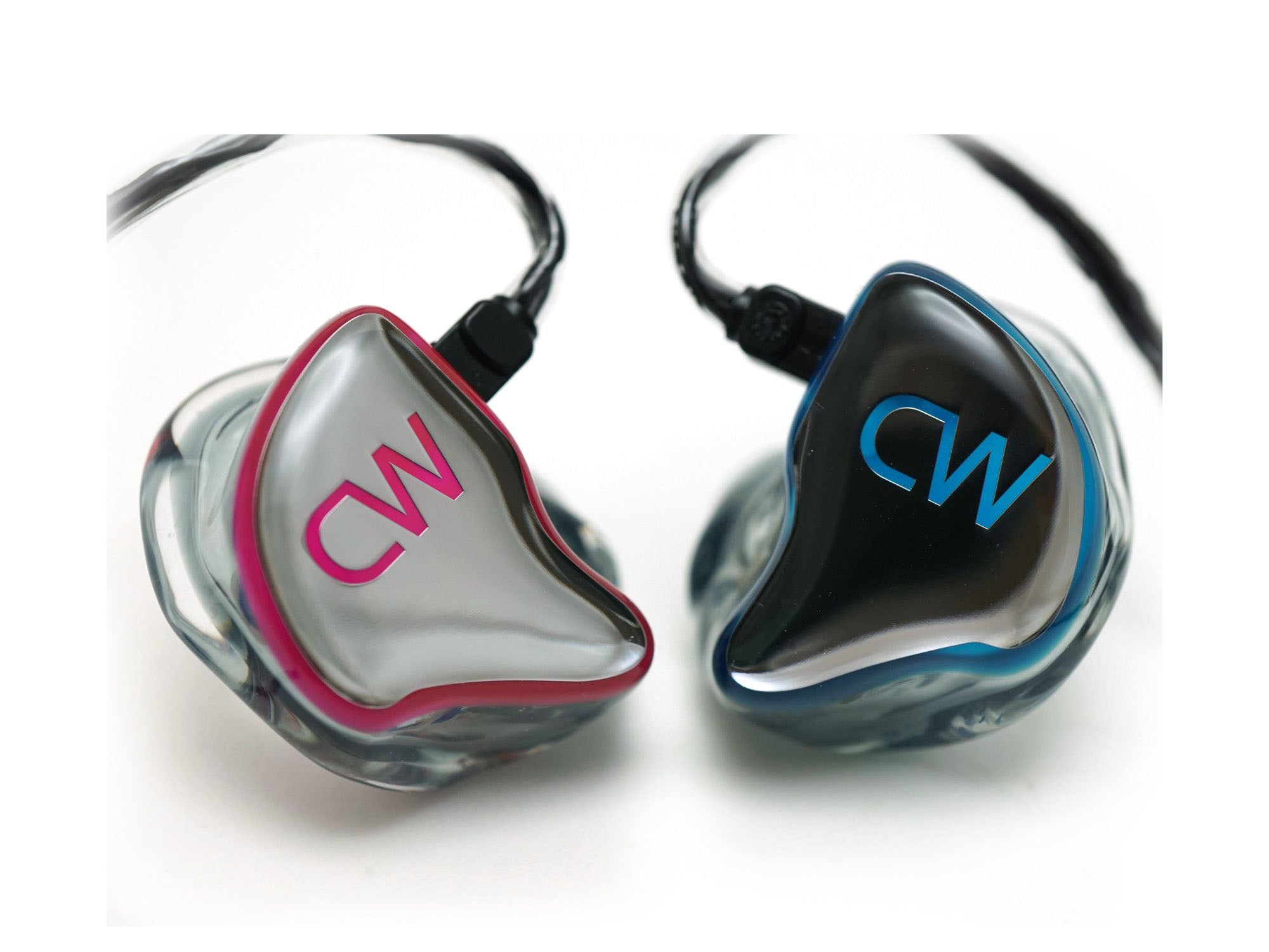 CANAL WORKS CW-L12aEX カスタムIEM 業務用カスタムIEM