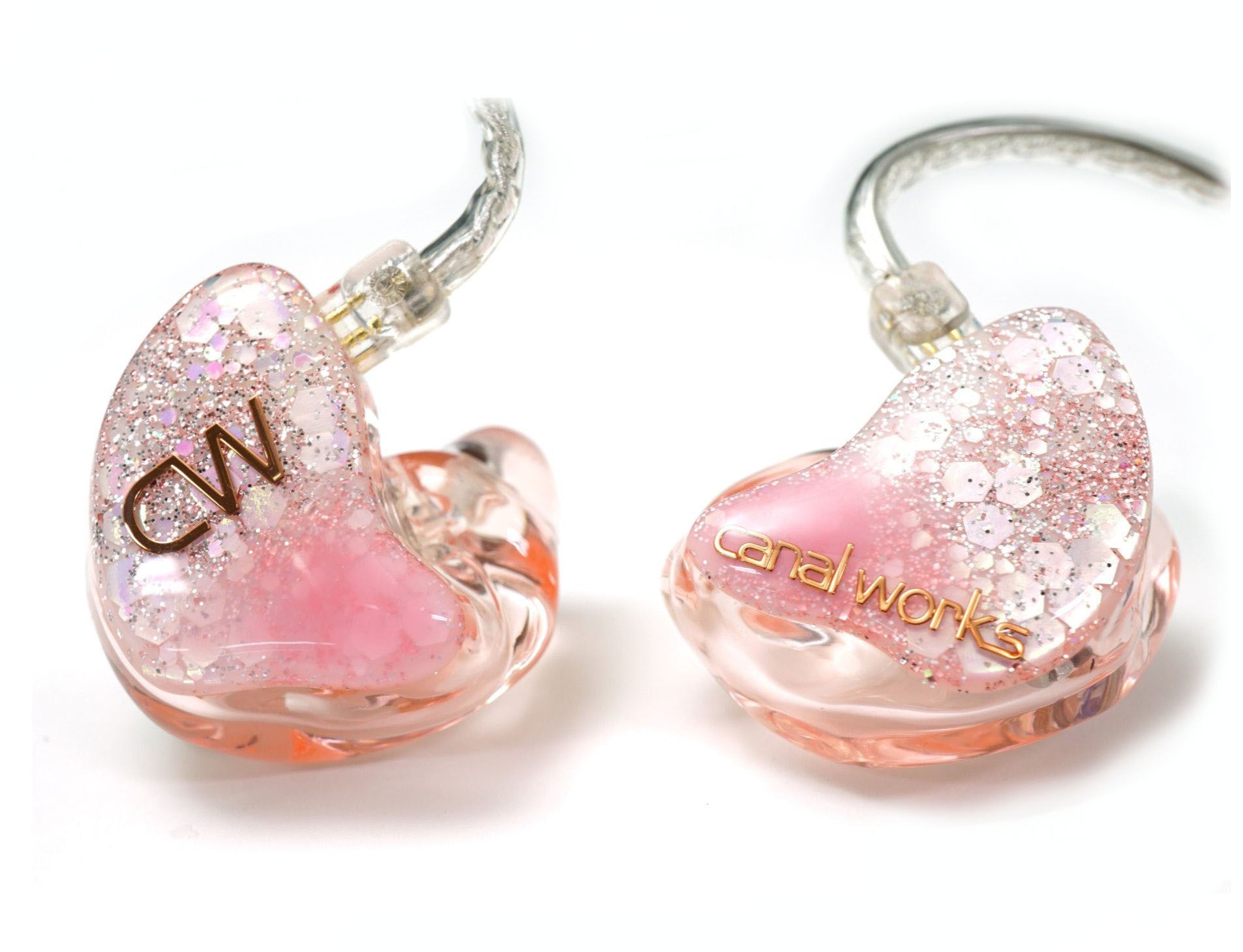 業務用カスタムIEM