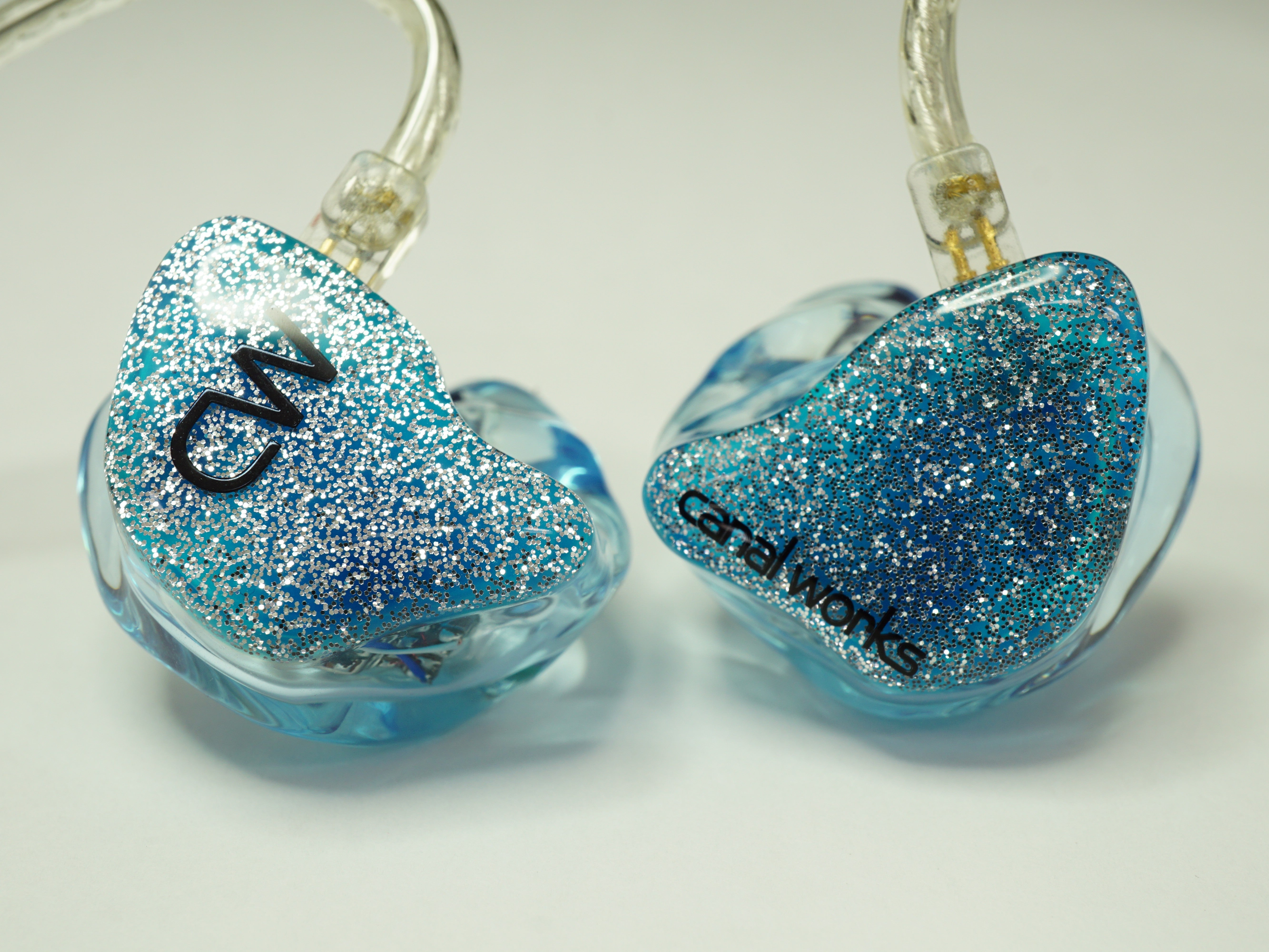 カスタムIEM 製品例ギャラリー