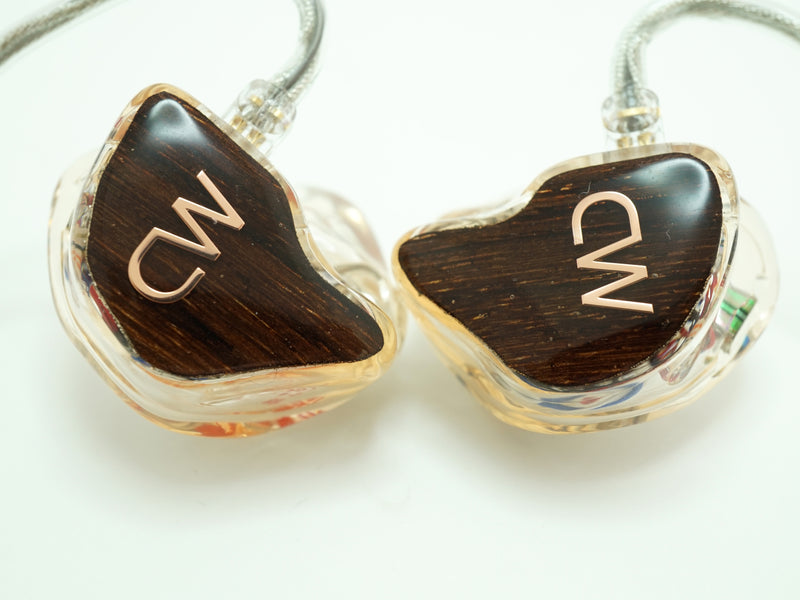 CW-L52  3way/6driver Custom In-Ear Monitor